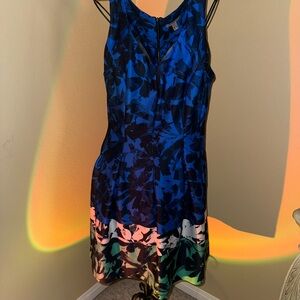 Roz & Ali Blue and Black Floral Mini Dress